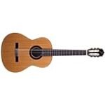 Análisis de las Guitarras José Torres: Comparativa de Sonido, Estilo y Precio