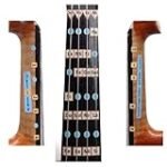 Las Notas del Violín: Análisis y Comparativa de los Mejores Modelos para Músicos de Todos los Niveles