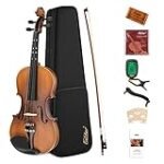 Los Mejores Violines Profesionales: Análisis y Comparativa de Instrumentos para Músicos Exigentes