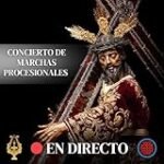 Análisis de Soleá: Comparativa de los Mejores Instrumentos Musicales para Interpretar 'Dame la Mano'