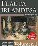 Flauta Irlandesa: Análisis y Comparativa de los Mejores Modelos del Mercado