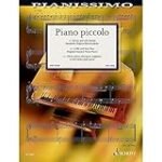 Elisa: Una Guía de Piano Fácil para Principiantes - Análisis de los Mejores Instrumentos Musicales