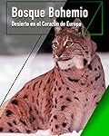 Descubriendo el Bosque de Bohemia: Análisis y Comparativa de Instrumentos Musicales Únicos