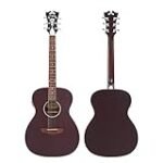 Análisis Comparativo de las Guitarras D'Angelico: Elegancia y Sonido que Marcan la Diferencia