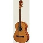 Comparativa de las Mejores Guitarres Camps: ¿Cuál es la Ideal para Ti?