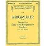 Explorando el Burgmüller Op. 100: Análisis de sus Efectos en la Interpretación Musical y Comparativa con Otros Métodos de Piano