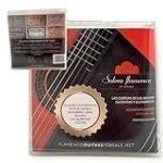 Las Mejores Guitarras Flamencas para DJ: Análisis y Comparativa de Instrumentos que Fusionan Tradición y Modernidad