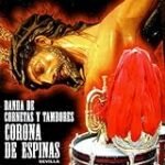 Explorando el Ritmo: Análisis y Comparativa de los Mejores Instrumentos para Bandas de Tambores y Cornetas