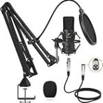 Los Mejores Micrófonos de Estudio Profesionales: Análisis y Comparativa para Músicos y Productores