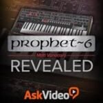 Prophet 6: Análisis y Comparativa del Icono de la Síntesis Analógica