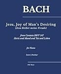 Análisis de Jesu, Joy: Comparativa de los Mejores Instrumentos para Interpretar esta Obra Maestra Musical