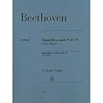 Análisis Musical: La Influencia de Beethoven en la Interpretación de 'Para Elisa' a Través de Diferentes Instrumentos