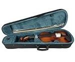 Análisis del Violín Carlo Giordano 4/4: ¿Realmente es la Mejora que Buscas?