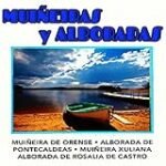 Análisis de la Alborada de Veiga: Comparativa de Instrumentos Musicales en la Tradición Gallega