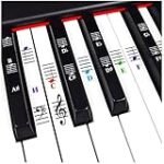 Descubriendo las Notas Musicales del Piano: Análisis Comparativo de los Mejores Teclados del Mercado