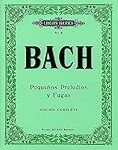 Explorando la Sonoridad de Bach: Análisis de los Pequeños Preludios y sus Mejores Instrumentos para Interpretarlos